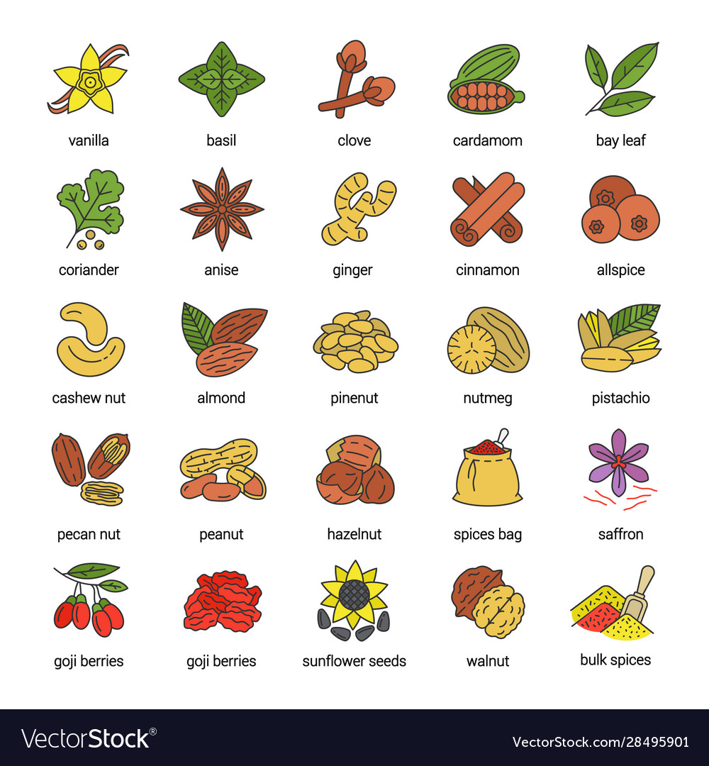 Spices color icons set
