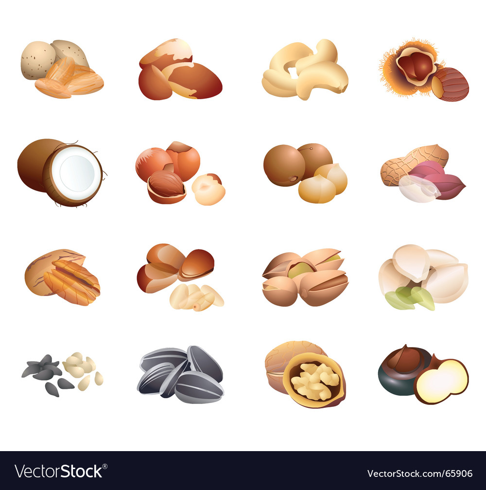 Calorie table nuts and seeds Royalty Free Vector Image
