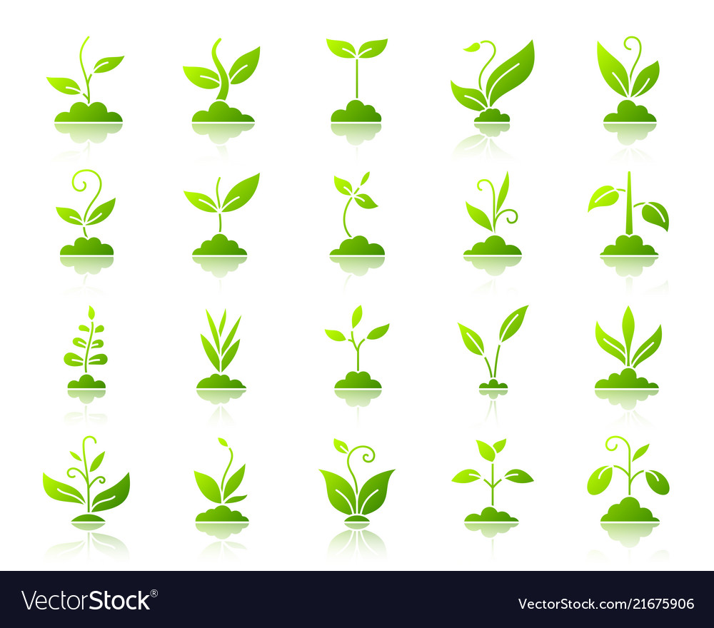Grass simple gradient icons set vector image Grass simple gradient icons set