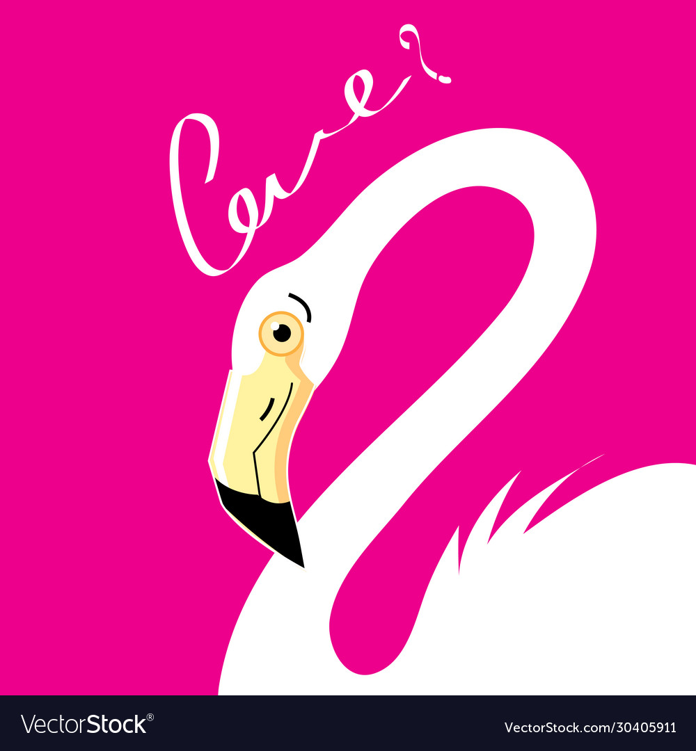 Flamingos in love with a heart