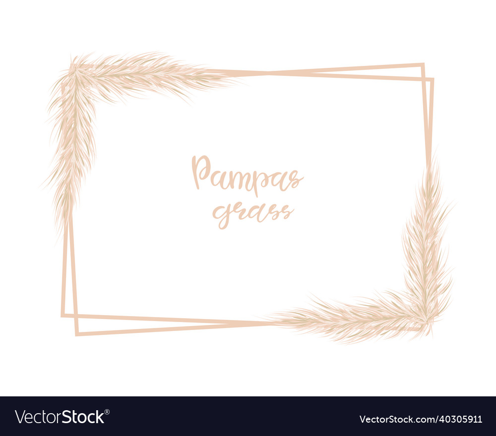 Soft rectangle frame with pampas grass for design