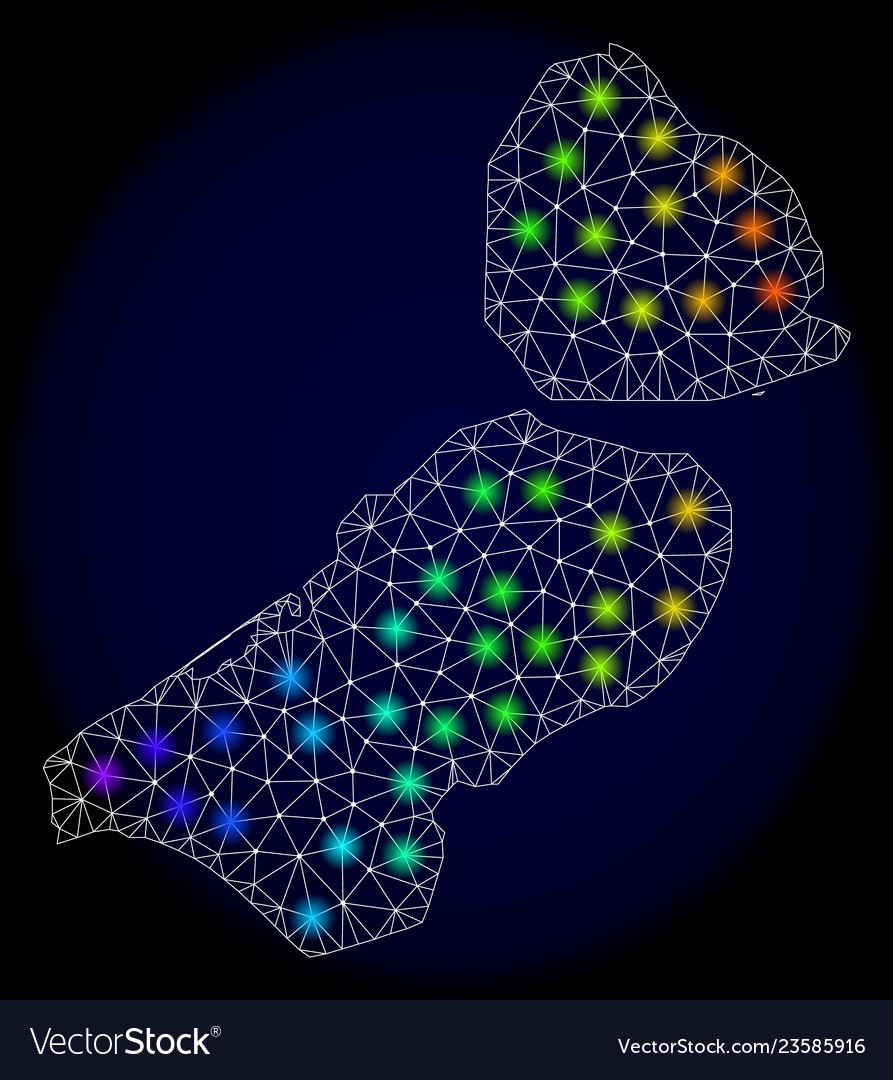 Polygonal wire frame mesh map of flevoland