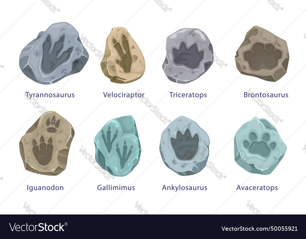 Ancient dinosaur footprints fossil paws Royalty Free Vector