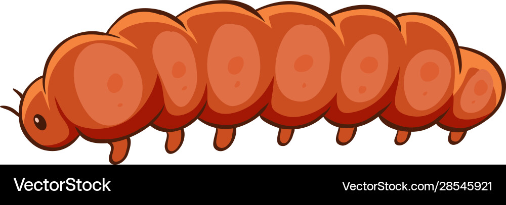 Caterpillar In Orange Color Royalty Free Vector Image