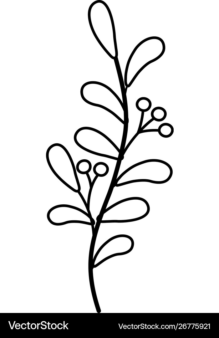 Isolated leaves design Royalty Free Vector Image