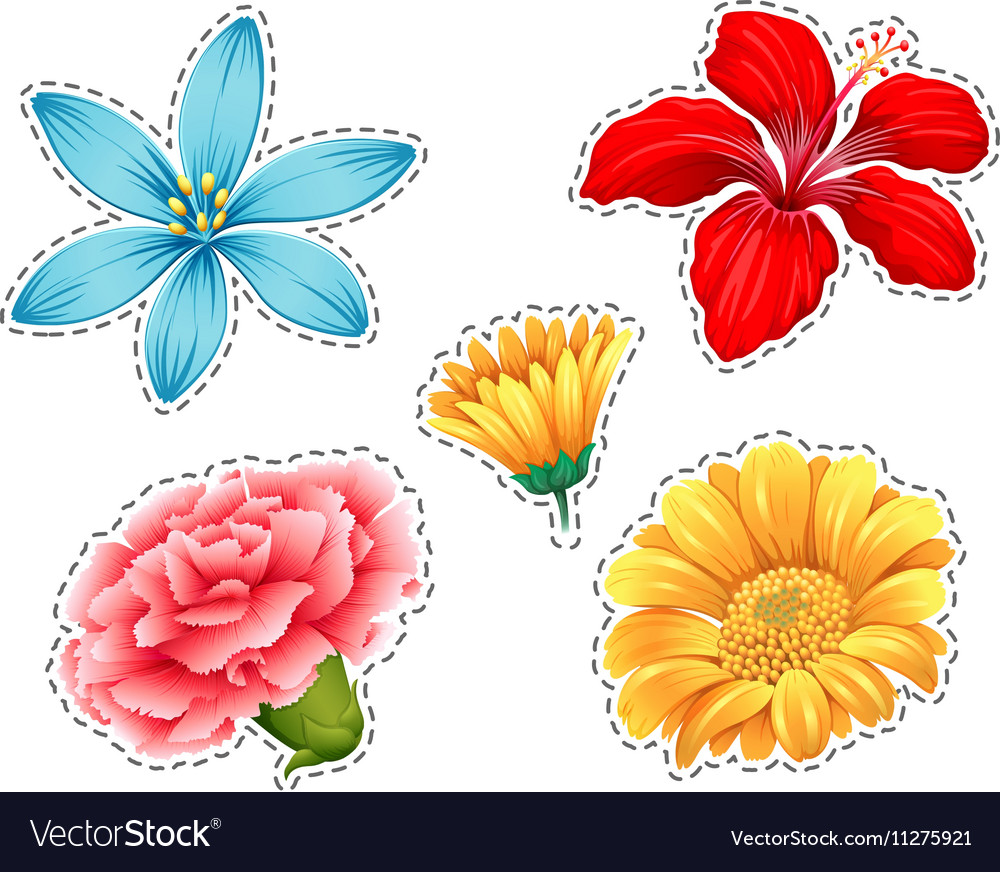 Sticker set with different types of flowers Vector Image