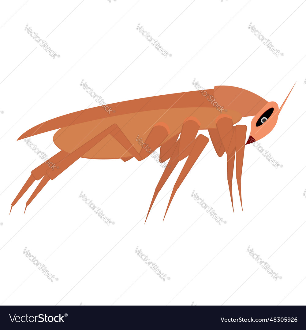 Brown long cockroach side view Royalty Free Vector Image