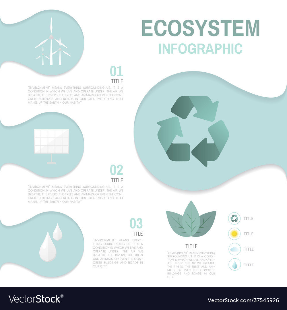 Ecosystem infographic environmental conservation Vector Image