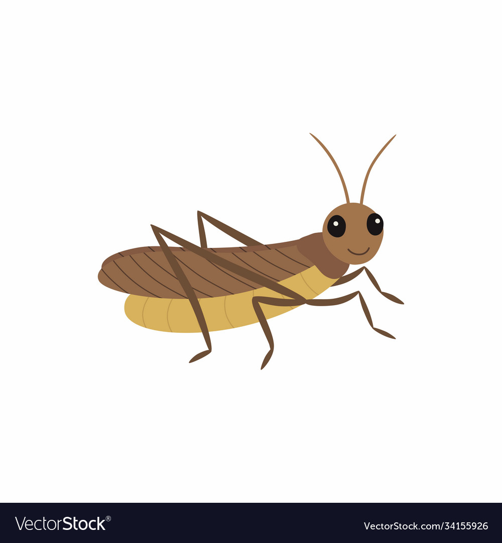 Locust isolated on white Royalty Free Vector Image