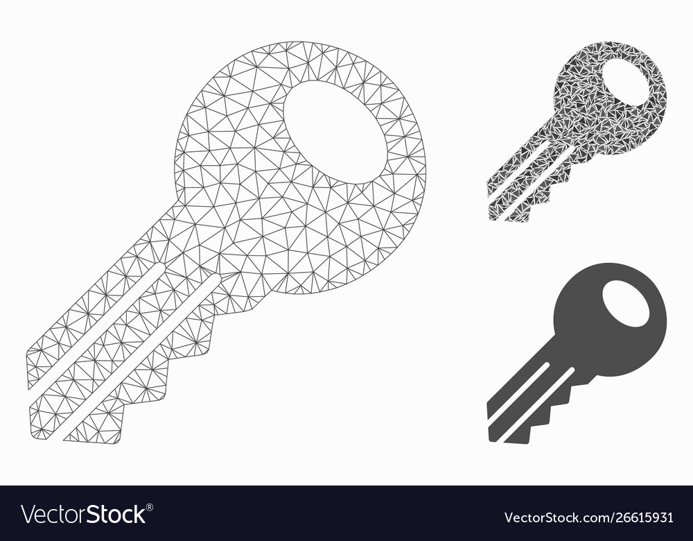 Key mesh wire frame model and triangle vector image Key mesh wire frame model and triangle