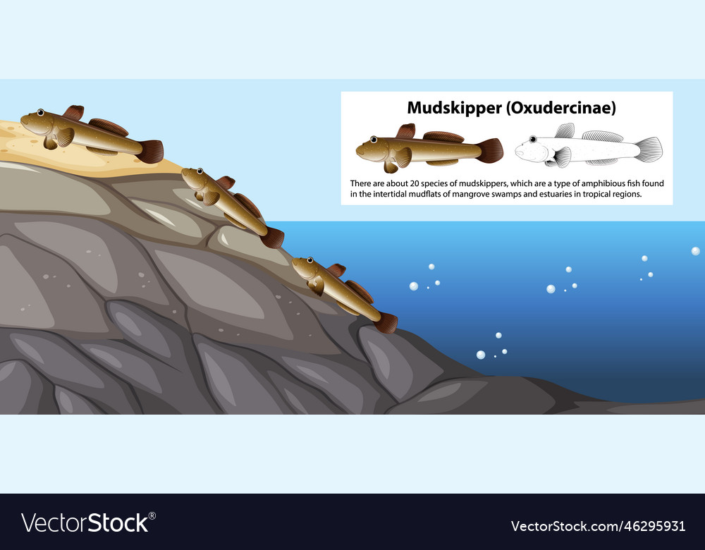 Mudskipper movement concept