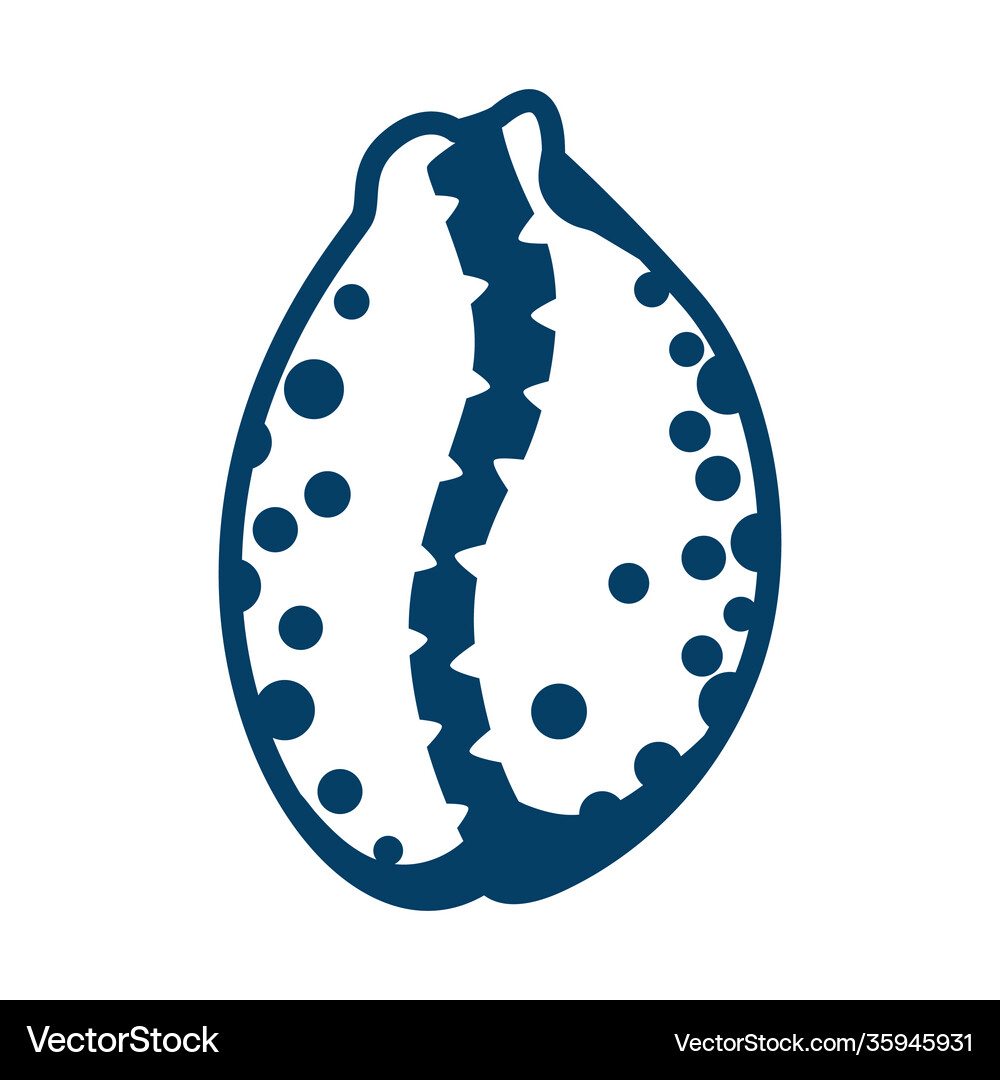 Seashell Royalty Free Vector Image - VectorStock