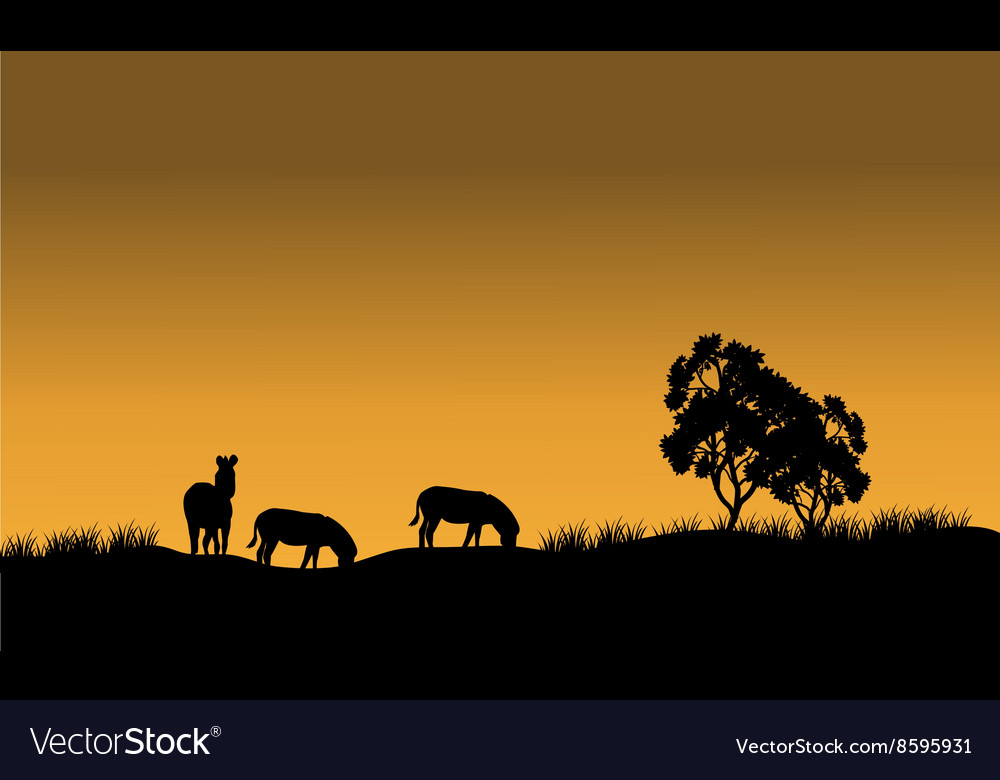 Silhouettes of a zebra and tree against