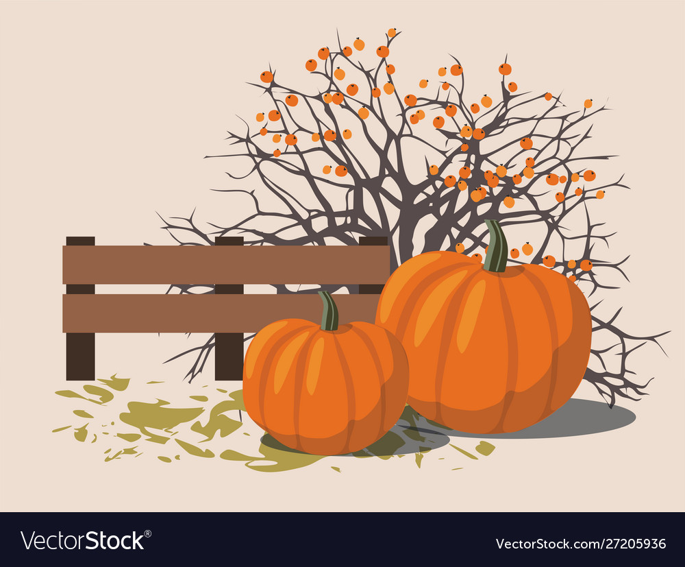 Autumn Pumpkins and Berry Bush