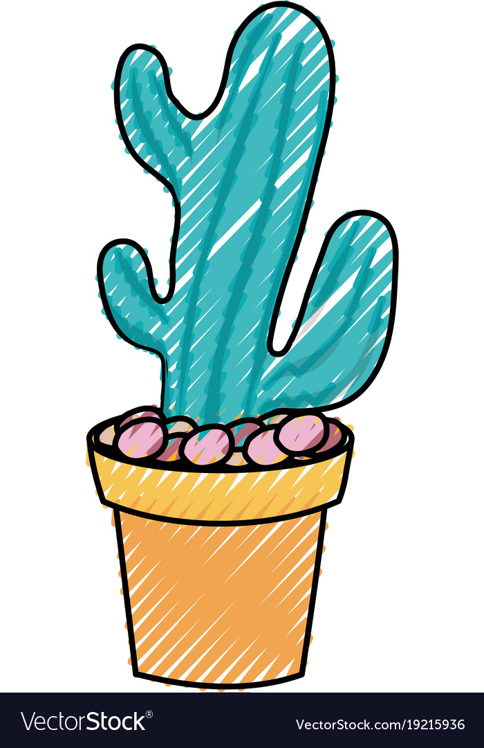 Cactus in potted
