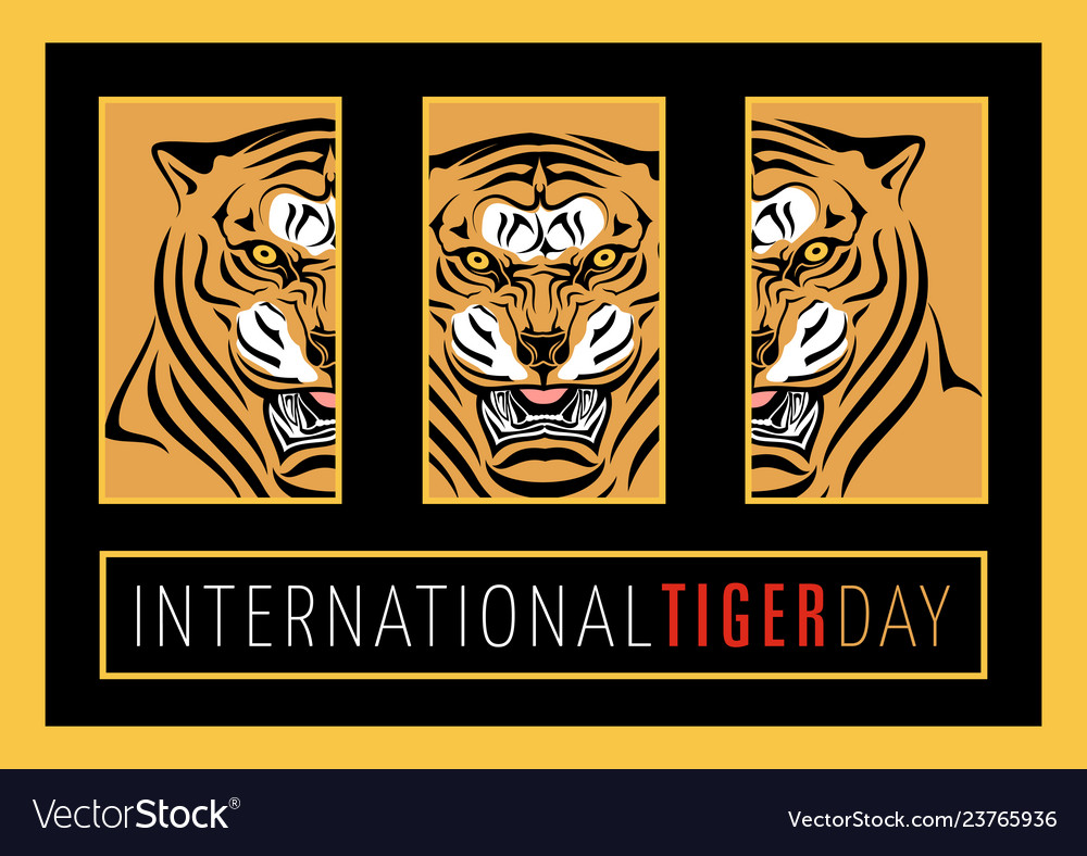 Day taiger 0012 vector image Day taiger 0012