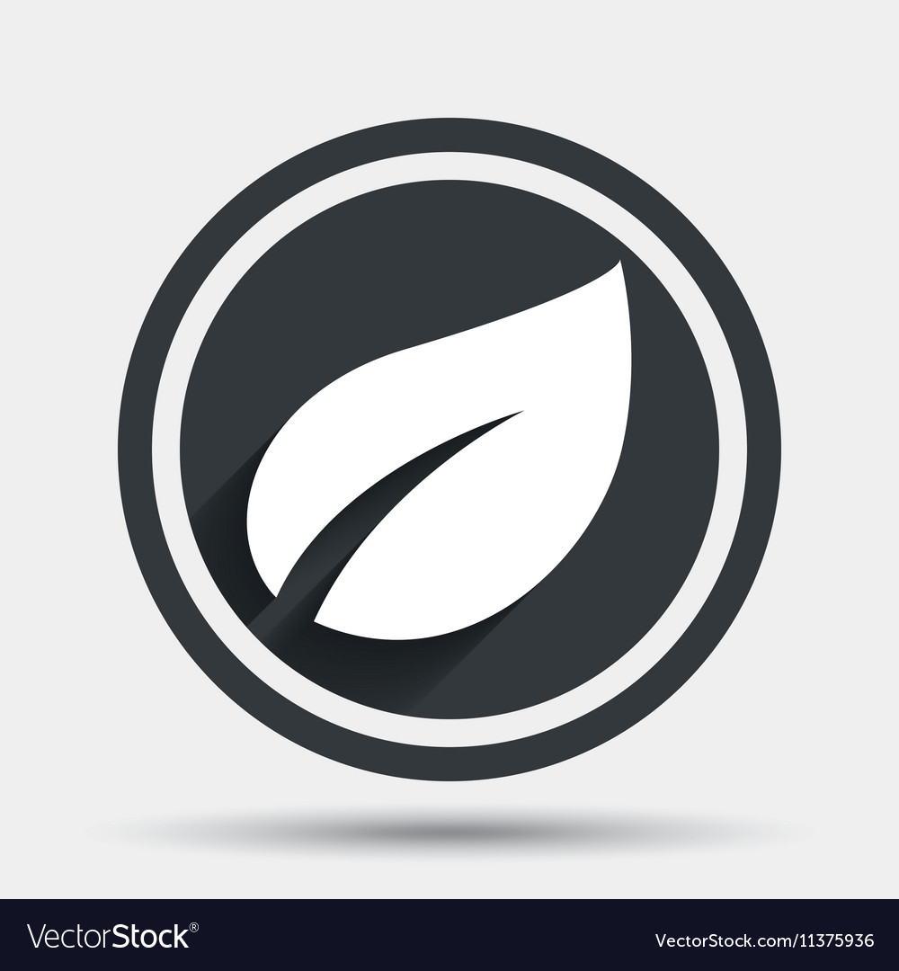 Leaf sign icon fresh product symbol Royalty Free Vector