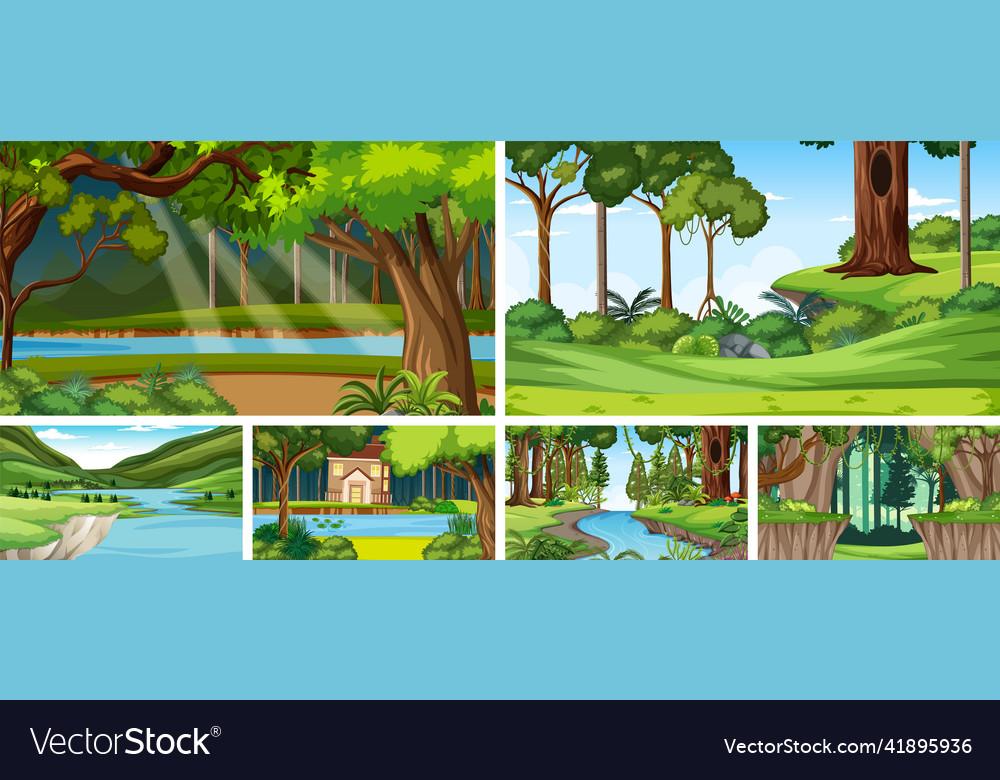 Nature scene with many trees and river