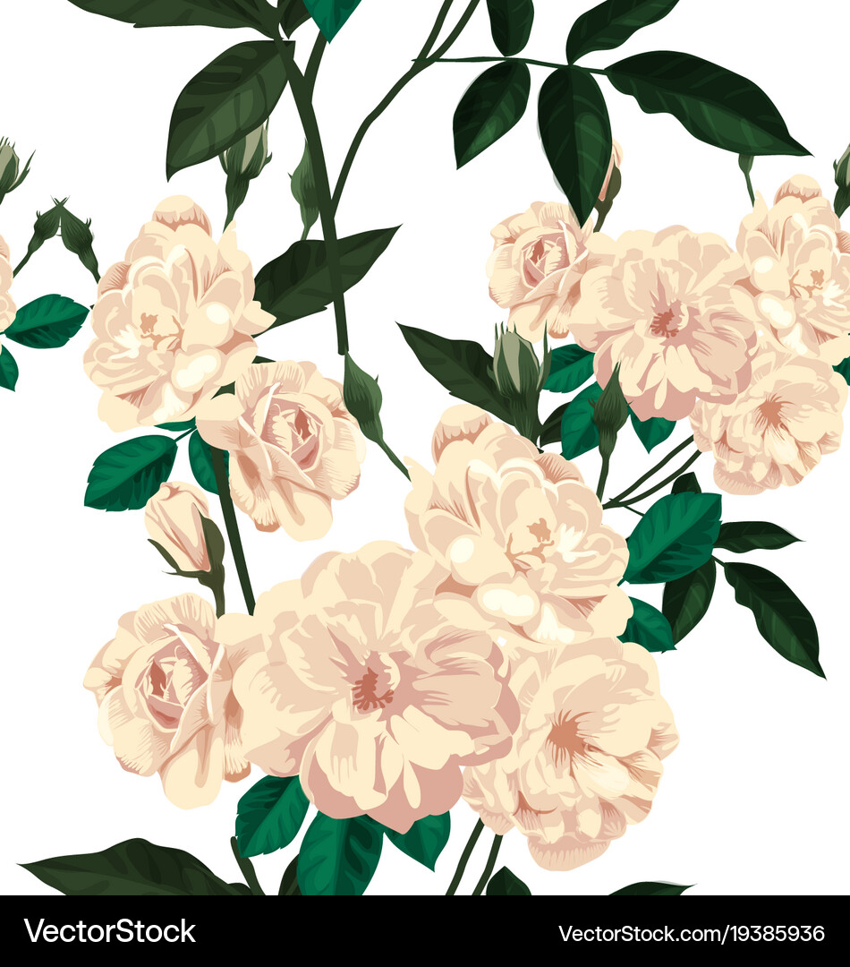 Rose seamless pattern Royalty Free Vector Image