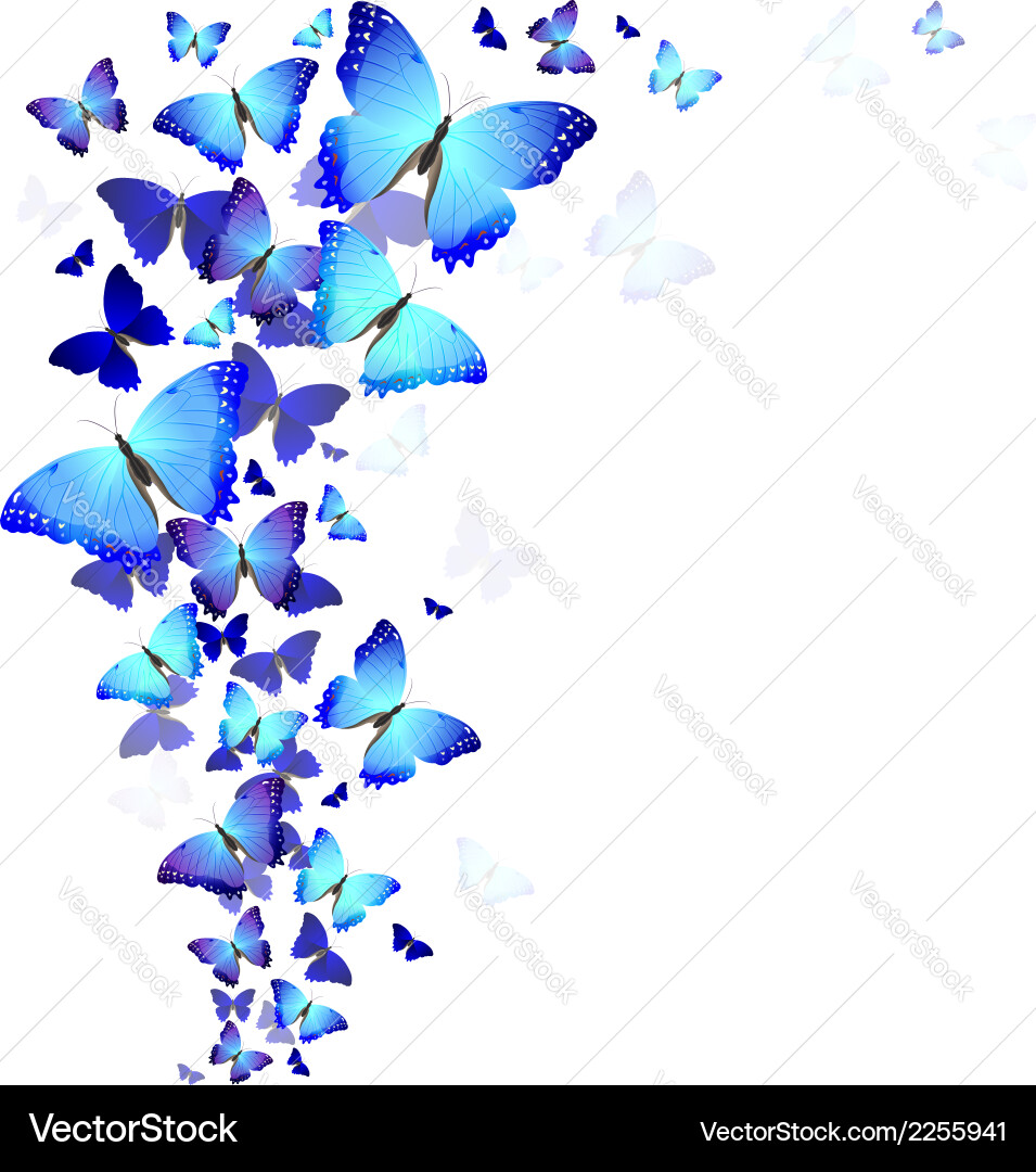 Background butterflies Royalty Free Vector Image