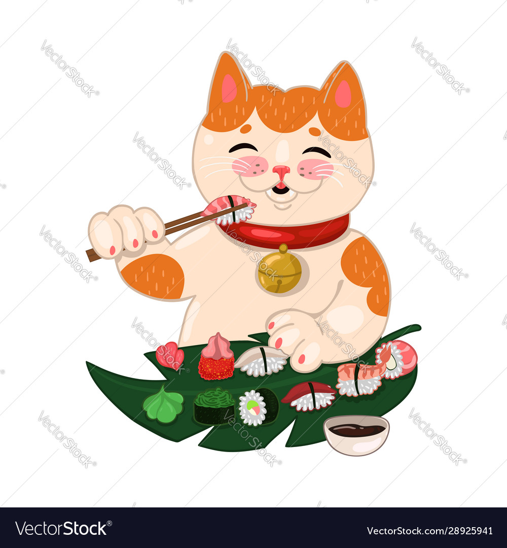 Cat eats sushi and rolls isolated on a white