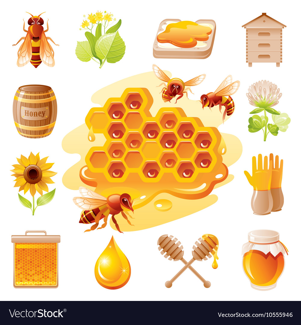 Bee honey icon set with cartoon flat icons