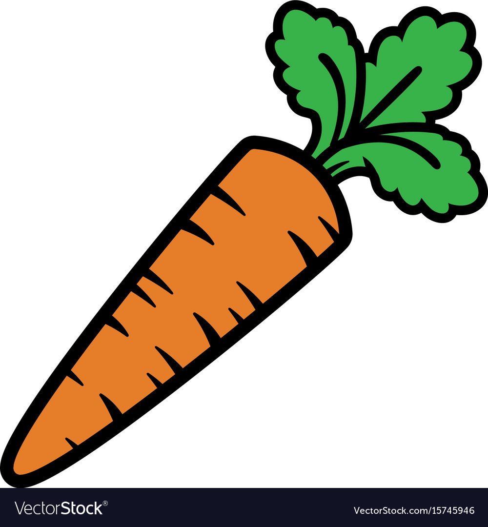 Cartoon carrot vegetable