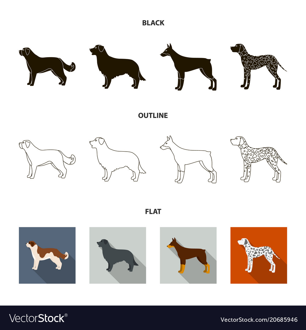 St bernard retrieverdoberman labrador dog Vector Image