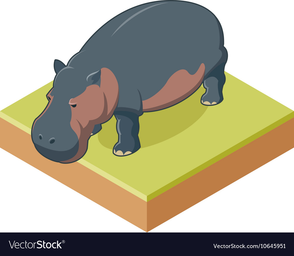 Hippo isometric icon2