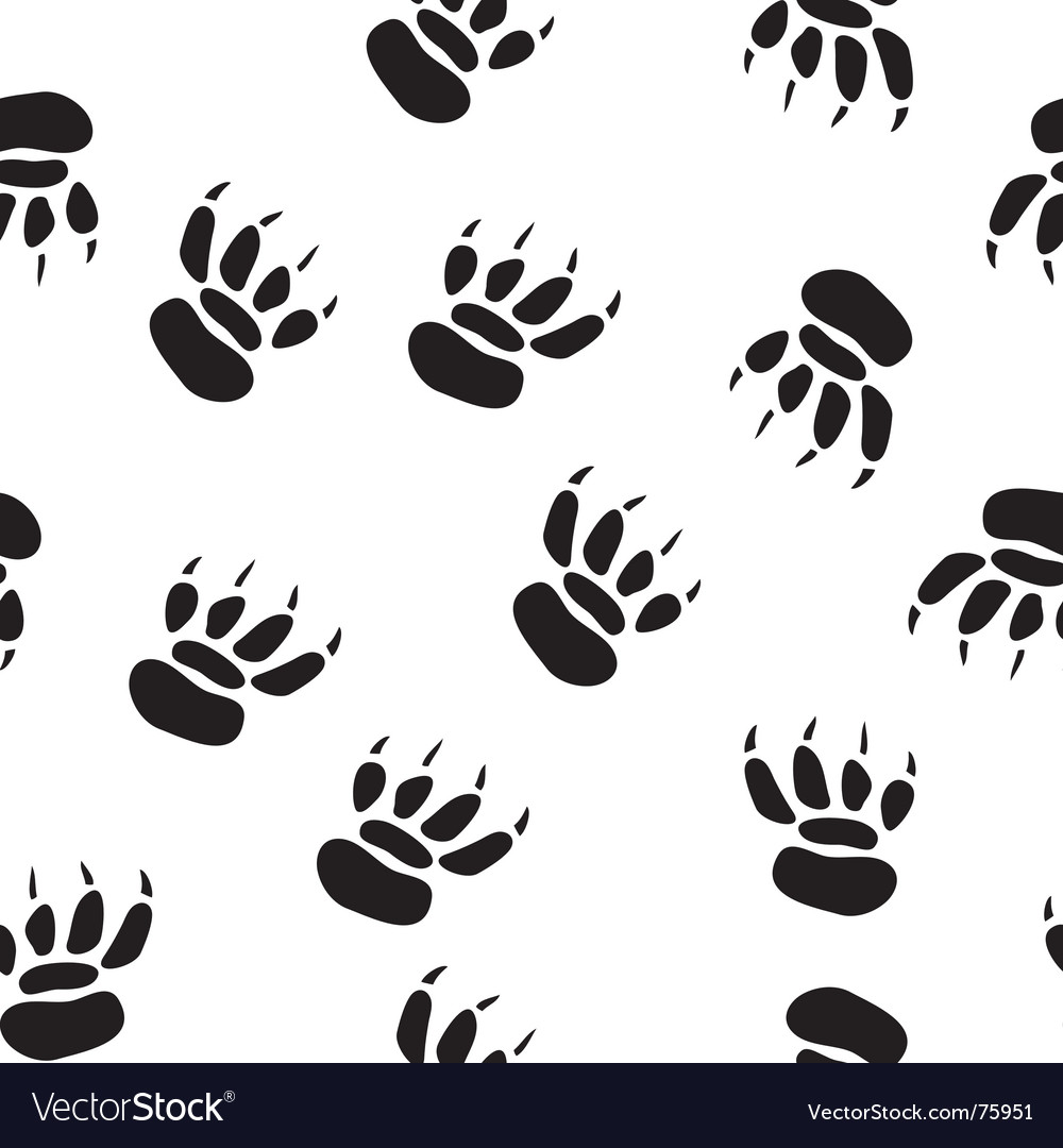 Paw Print Hintergrund