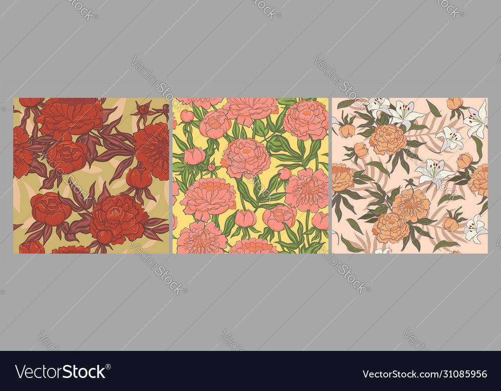 Set seamless peony patterns graphics