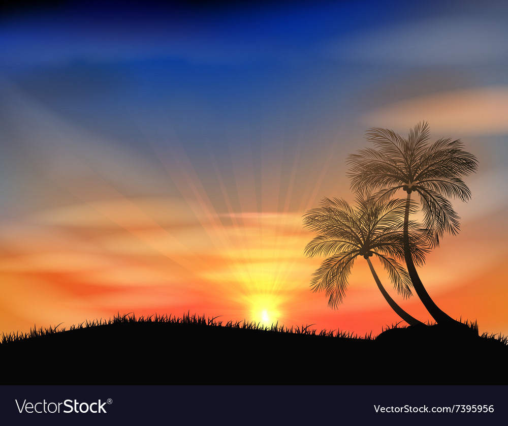 Tropical Sunset Palm Tree Background