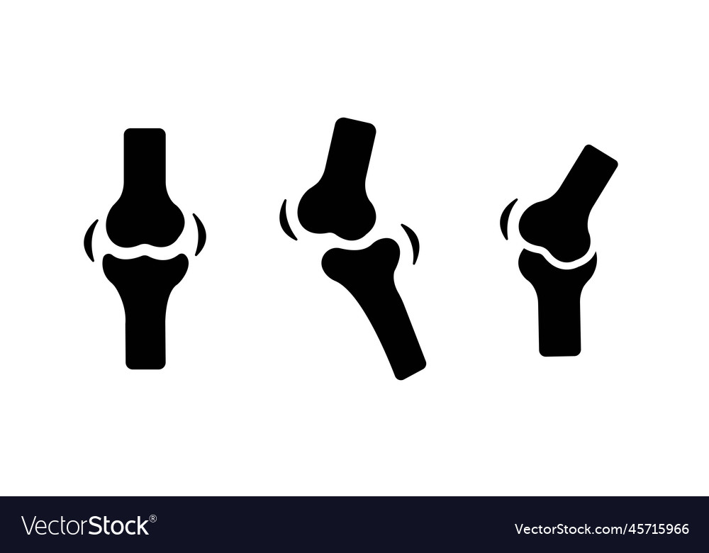 Knee bones icon set Royalty Free Vector Image - VectorStock