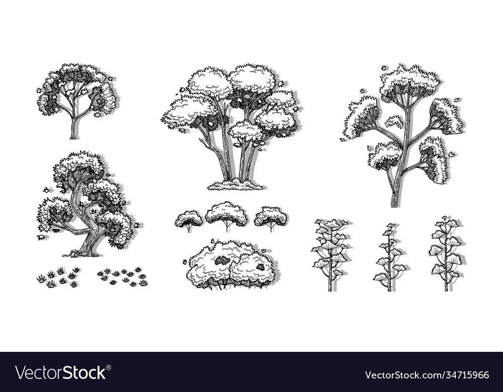 Tree-015-1