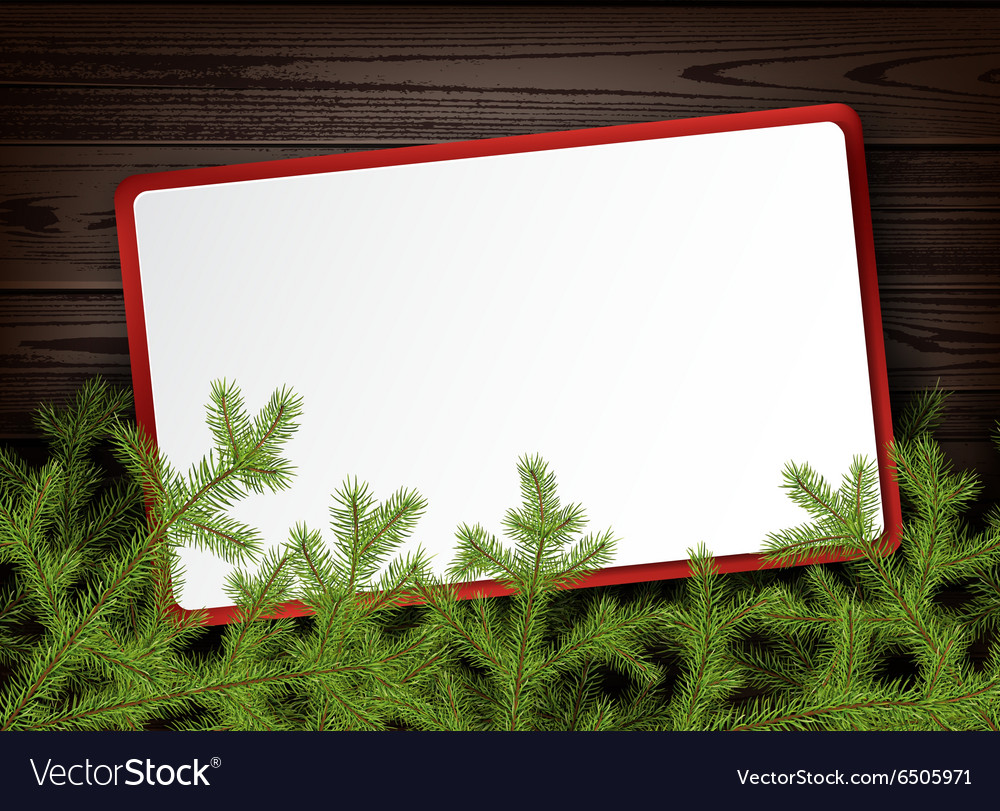 Background with fir branches