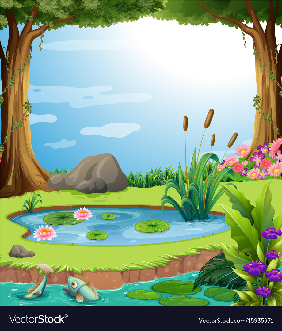 Forest scene with fish in the pond Royalty Free Vector Image