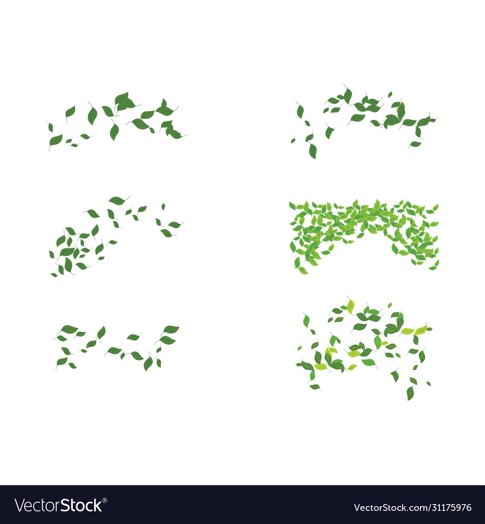 Leaves background pattern