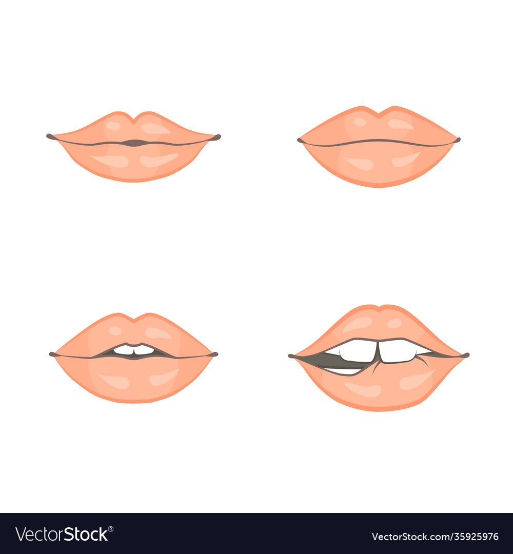 Set four women different beautiful lips vector image Set four women different beautiful lips