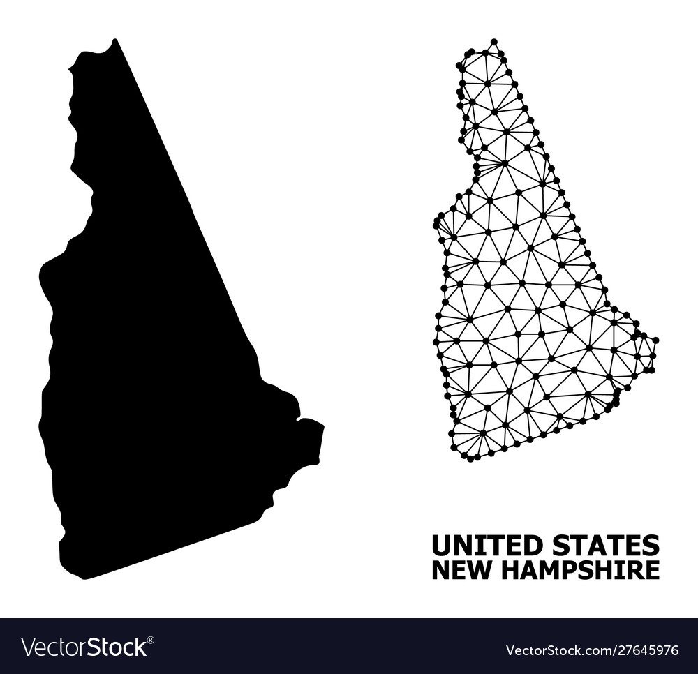 Solid and wire frame map new hampshire state Vector Image