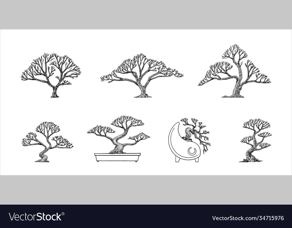 Tree-018-2