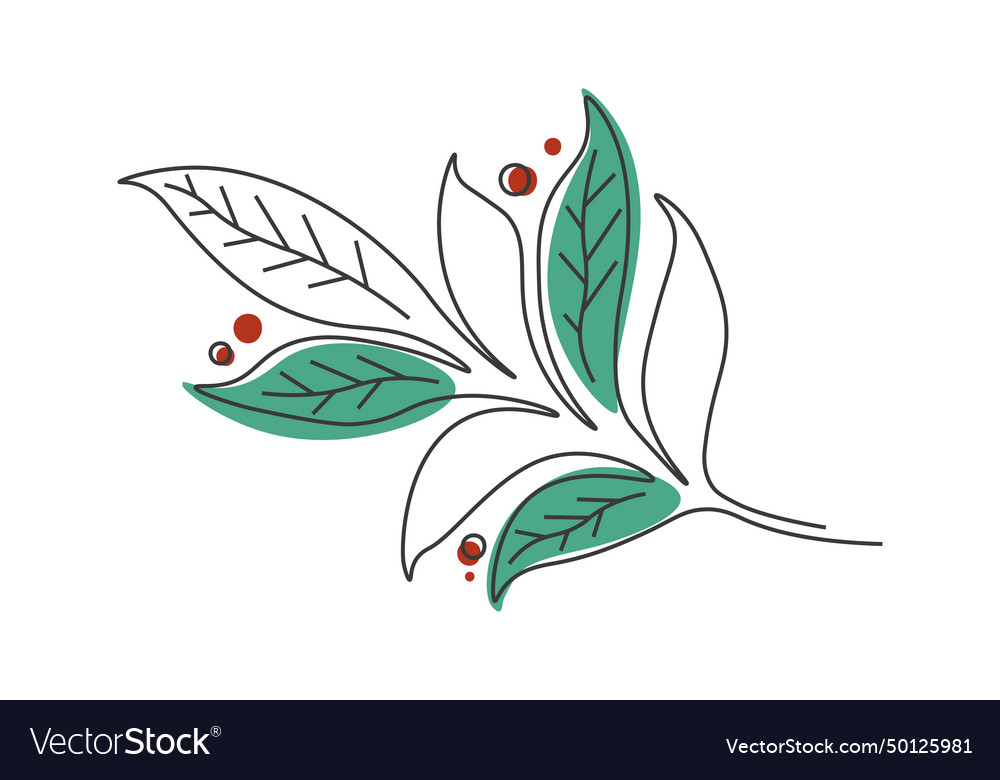 Branch with berries in single continuous line vector image Branch with berries in single continuous line