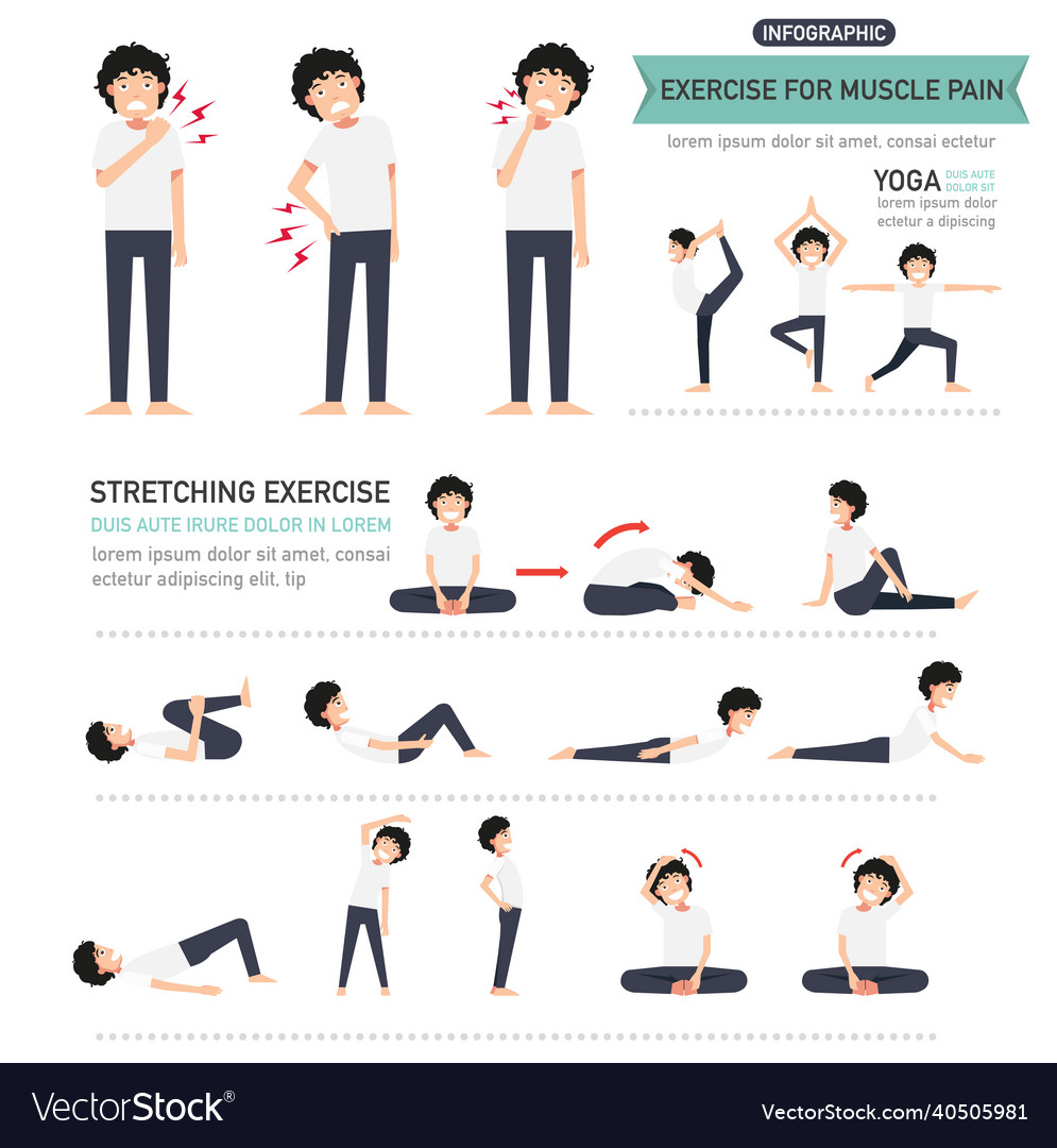 Exercise for muscle pain infographic Royalty Free Vector