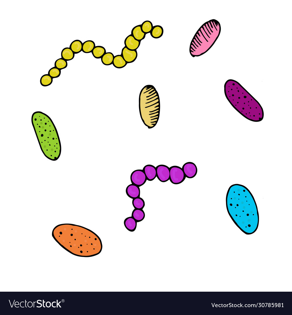 Isolated element color bacterium without vector image Isolated element color bacterium without