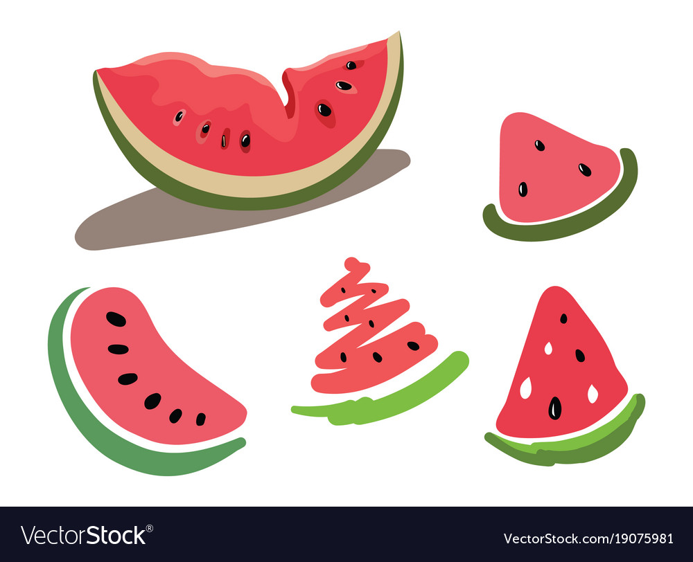 Set of slices watermelon drawing