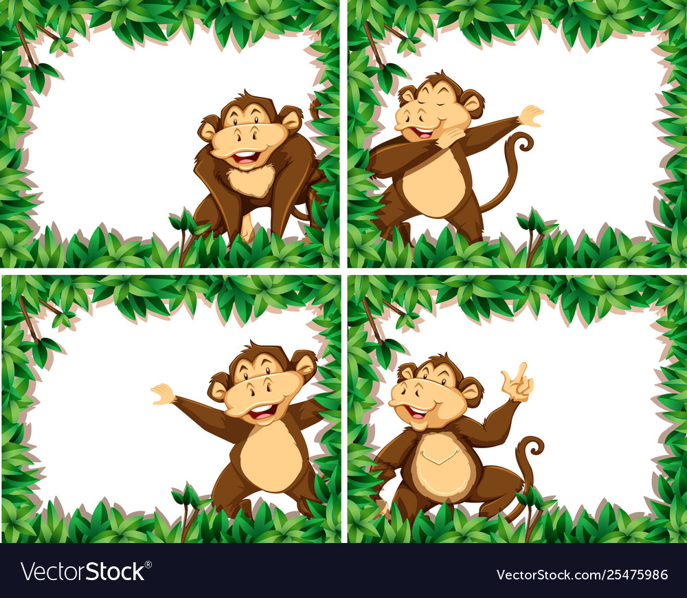set-monkeys-in-nature-frames-royalty-free-vector-image