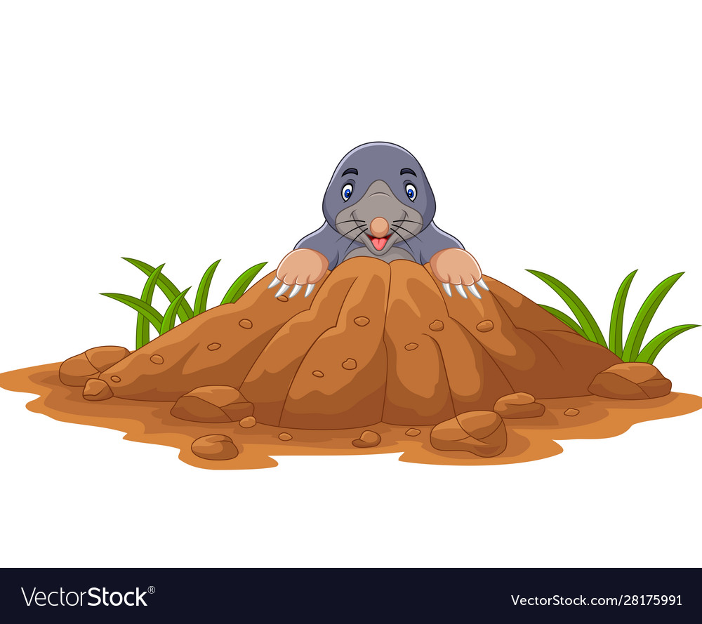Cute Cartoon Mole Emerging from Hole