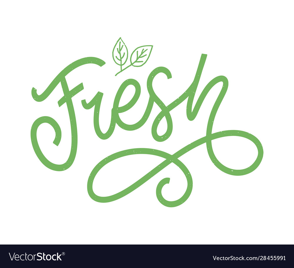 Fresh word hand lettering handmade calligraphy Vector Image
