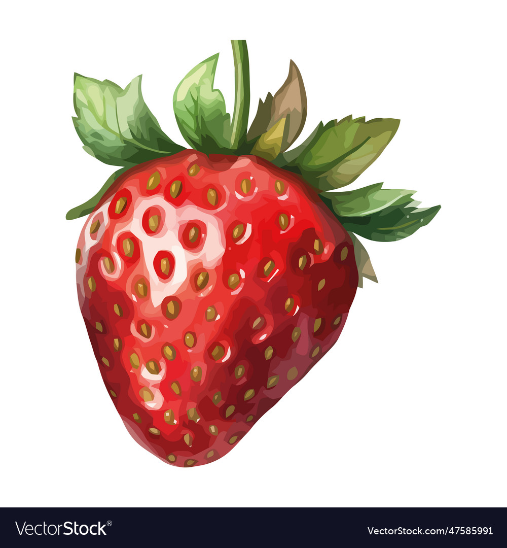 Ripe Strawberry Fresh And Juicy A Healthy Snack Vector Image 6101