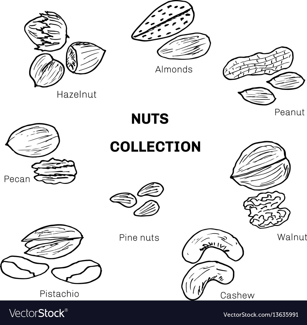 Set of different nuts
