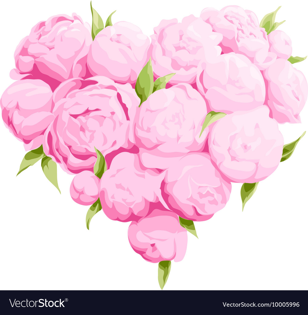 Корзина с пионами рисунок